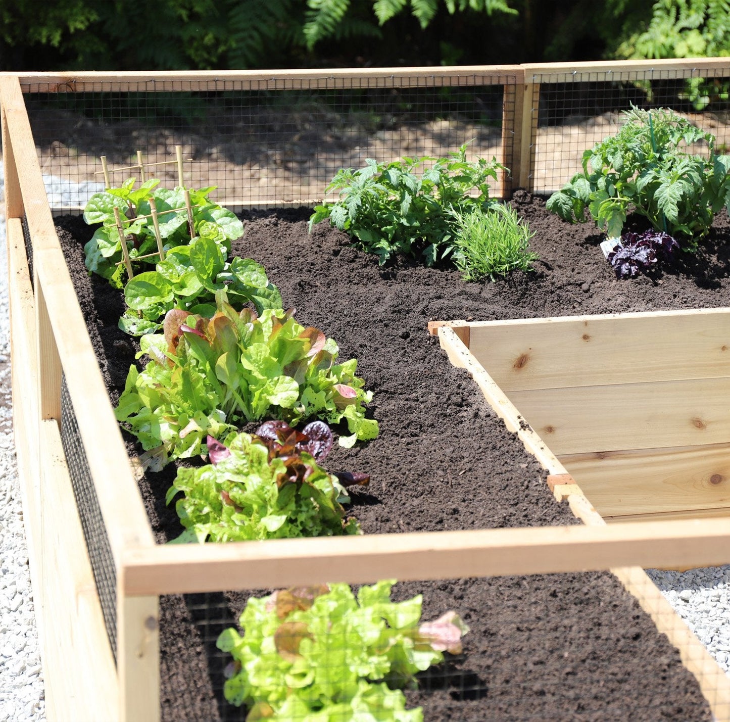 Outdoor Living Today Garden in a Box | 8 x 8