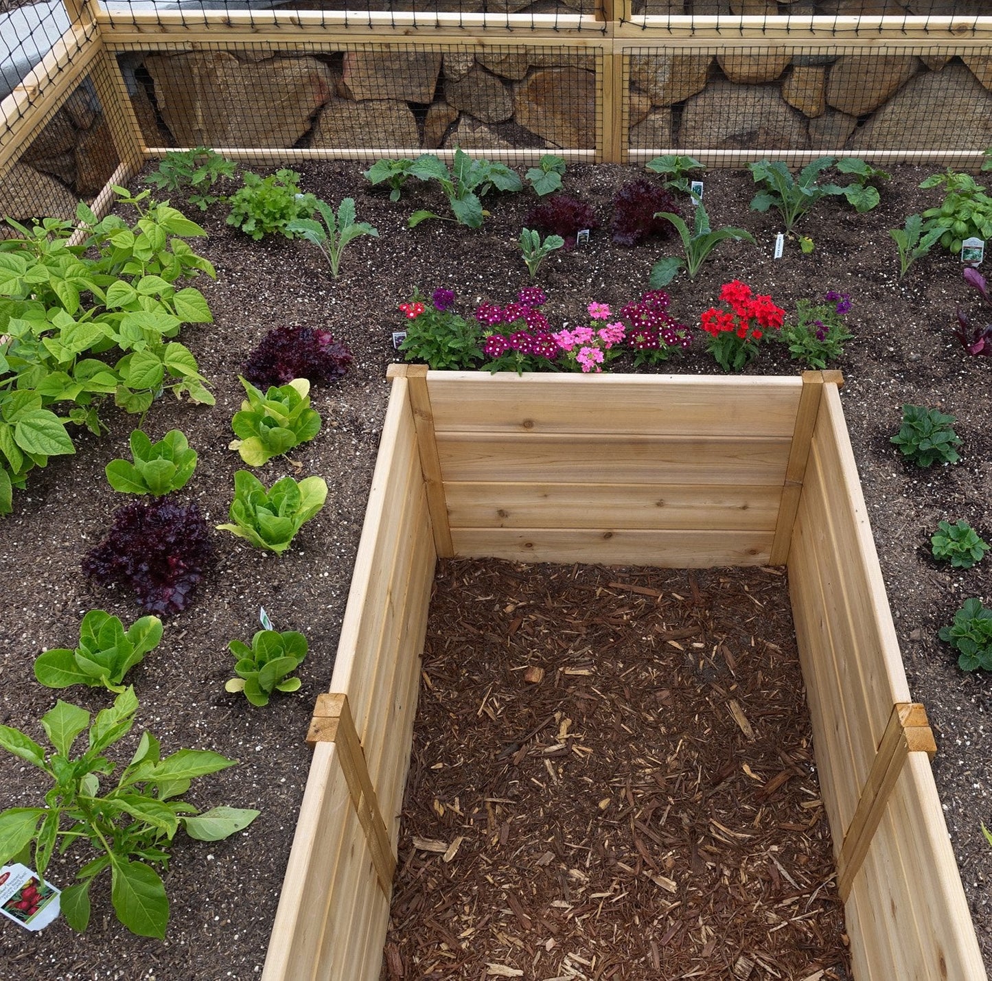 Outdoor Living Today Garden in a Box | 8 x 8